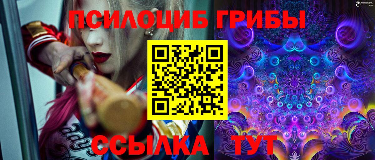 Омск  даркнет сайт  Вход с VPN  Псилоцибиновые грибы Psilocybine cubensis 